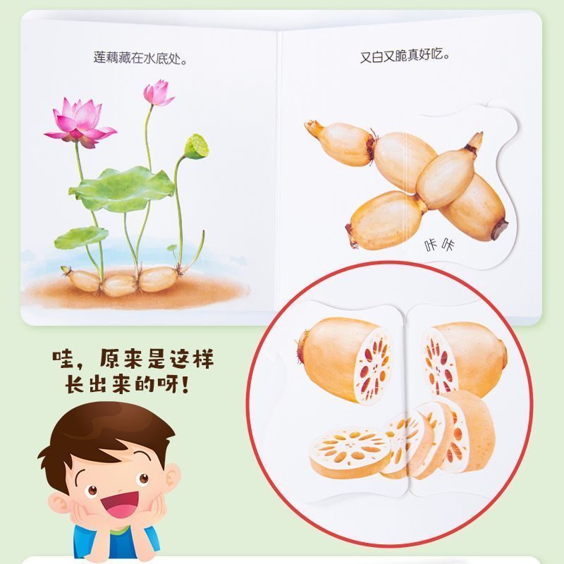 Flipbook per l'educazione alim - Baby Food Age recensione e prezzo