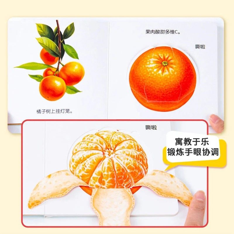 Flipbook per l'educazione alim - Baby Food Age recensione e prezzo